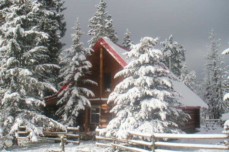cozy cabin surrounded by snow-covered trees, making it the perfect winter glamping spot